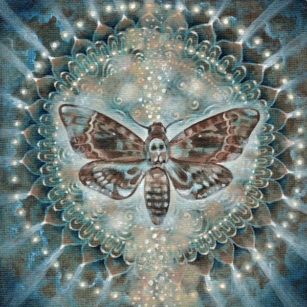 Mandalas: Hidden Knowledge by Verena Wild