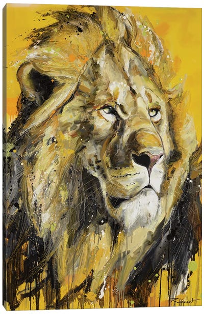Madiba Canvas Art Print - Vincent Richeux