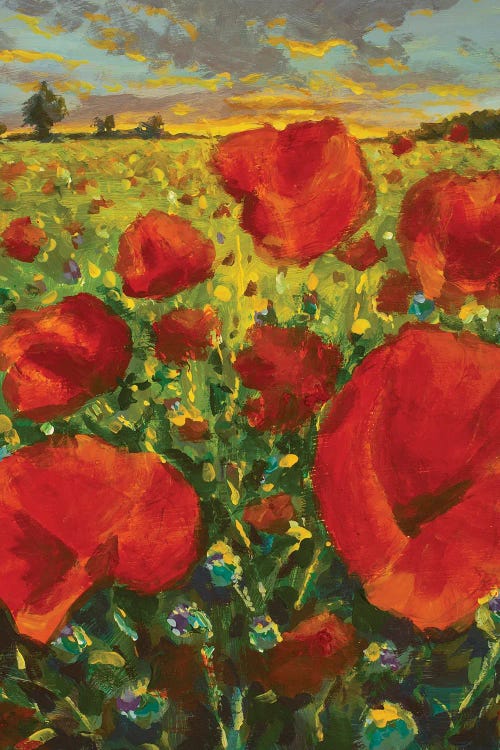 Large Red Flowers Poppies In Meadow Impressionism Oil Painting Poppy Field At Sunset.