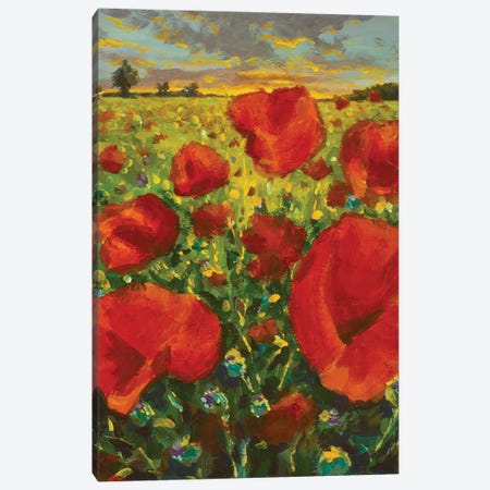 Large Red Flowers Poppies In Meadow Impressionism Oil Painting Poppy Field At Sunset. Canvas Print #VRY1001} by Valery Rybakow Art Print