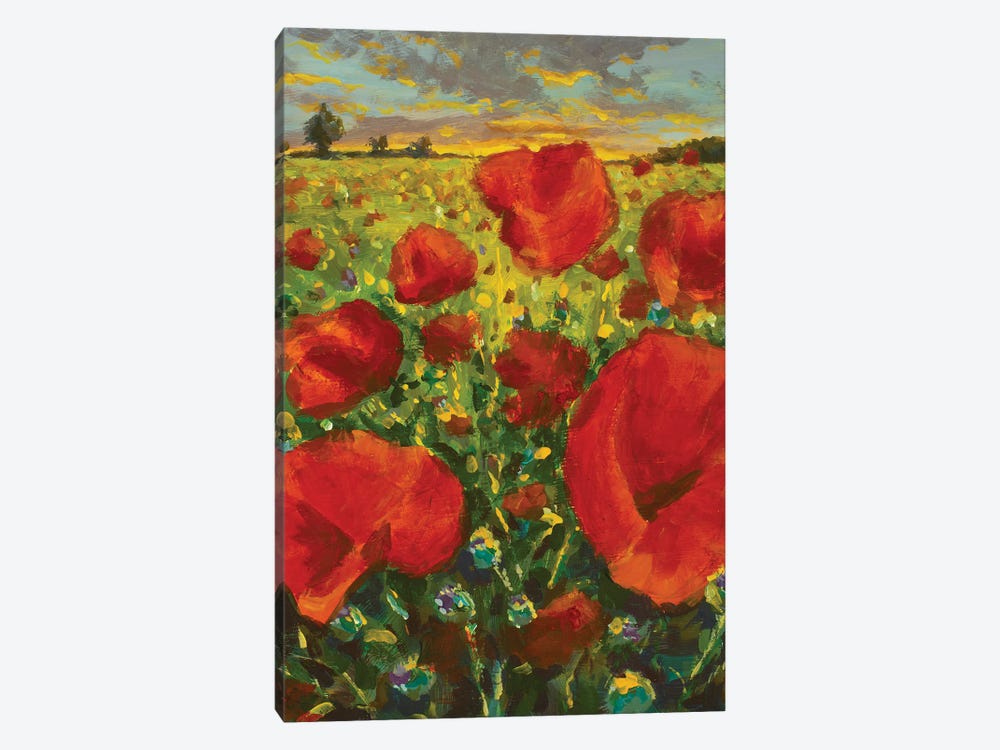 Large Red Flowers Poppies In Meadow Impressionism Oil Painting Poppy Field At Sunset. by Valery Rybakow 1-piece Canvas Print