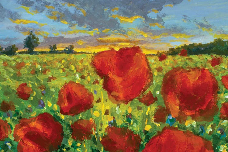 Oil Painting Poppy Field At Sunset. Large Red Flowers Poppies In The Meadow Creativity Impressionism