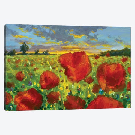 Oil Painting Poppy Field At Sunset. Large Red Flowers Poppies In The Meadow Creativity Impressionism Canvas Print #VRY1002} by Valery Rybakow Canvas Print