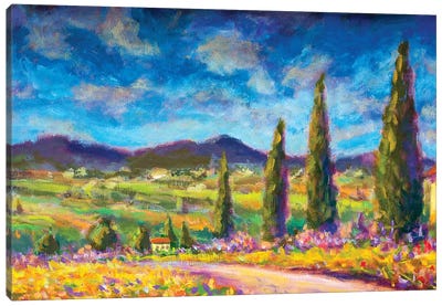 Summer Tuscany Landscape Canvas Art Print - Cypress Tree Art