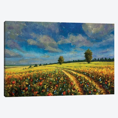 Warm Summer Landscape. Road In A Yellow Flower Field Canvas Print #VRY1019} by Valery Rybakow Canvas Wall Art