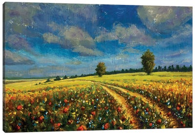 Warm Summer Landscape. Road In A Yellow Flower Field Canvas Art Print - Valery Rybakow