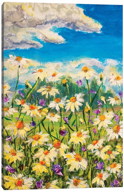 Summer White Daisies Canvas Art Print - Landscapes in Bloom