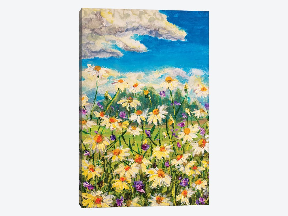 Summer White Daisies by Valery Rybakow 1-piece Canvas Art