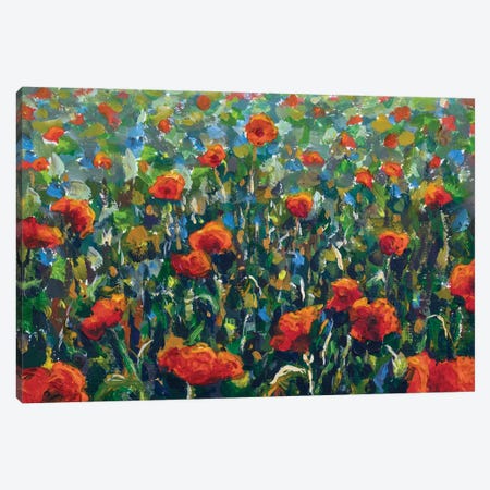 Red Wild Flowers Poppies In Green Grass Canvas Print #VRY1021} by Valery Rybakow Canvas Art Print
