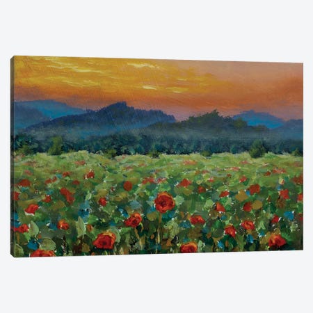 Beautiful Landscape Sunset Over The Mountains Canvas Print #VRY1022} by Valery Rybakow Canvas Art Print