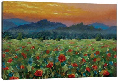 Beautiful Landscape Sunset Over The Mountains Canvas Art Print - Valery Rybakow