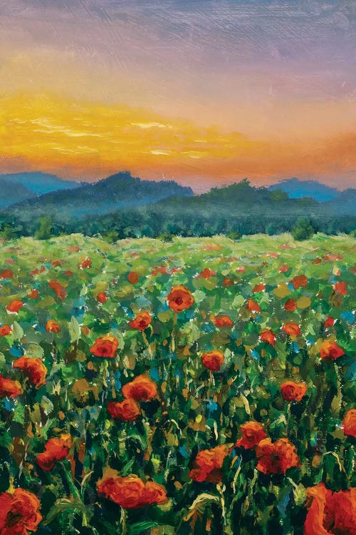 Sunset Over The Red Poppy Field