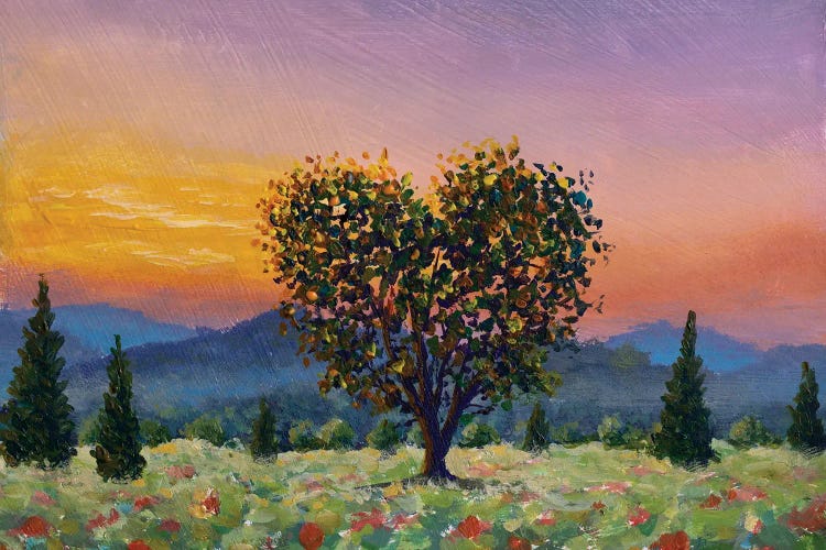 Tree In Shape Of Heart, Romantic Sunset Over A Poppy Meadow