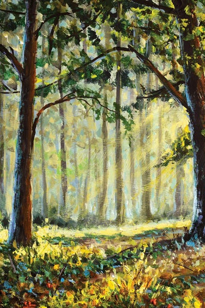 Positive Solar Painting With Sun Rays In The Forest