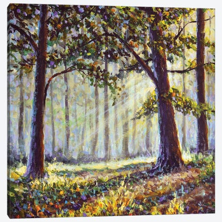 Sunny Painting With Sun Rays In The Forest Canvas Print #VRY1028} by Valery Rybakow Canvas Print