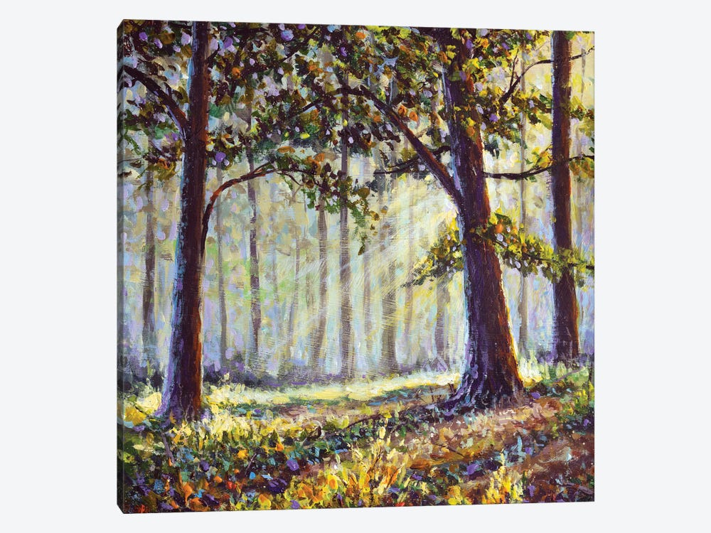 Sunny Painting With Sun Rays In The Forest by Valery Rybakow 1-piece Canvas Art