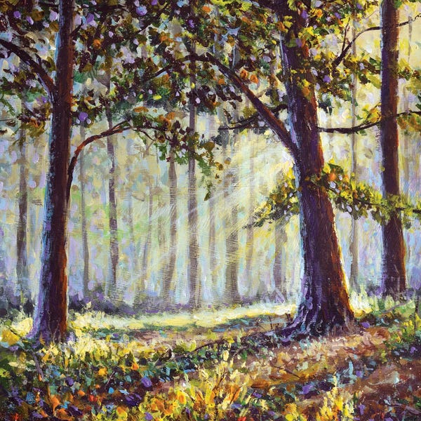 Sunny Painting With Sun Rays In The Forest