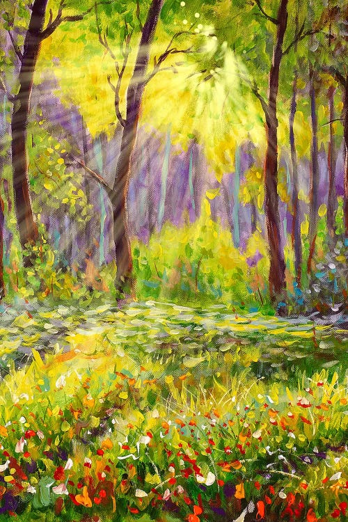 Sun In Forest Landscape