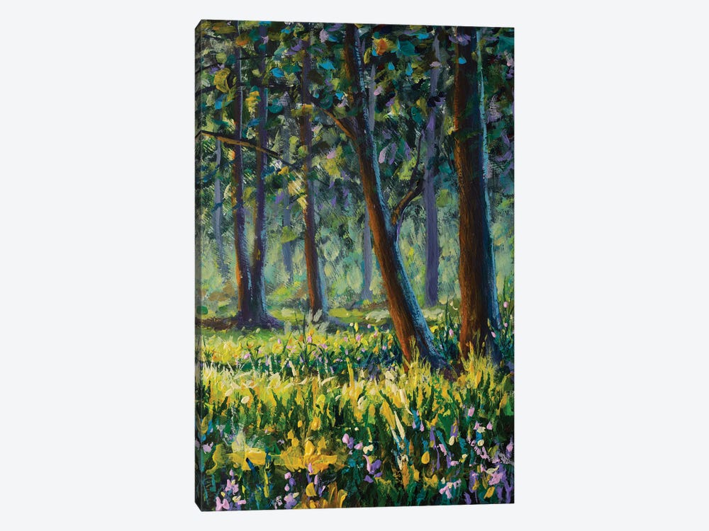 Trees In The Sunny Forest Park by Valery Rybakow 1-piece Canvas Art Print