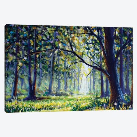 Trees In The Sunny Forest Park II Canvas Print #VRY1031} by Valery Rybakow Canvas Wall Art