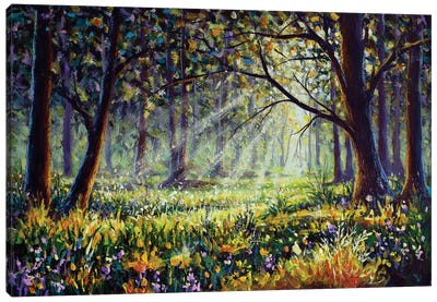 Flowers In Sunny Forest Landscape Canvas Art Print - Valery Rybakow