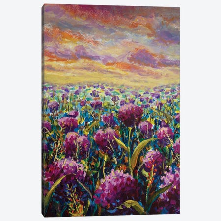 Meadow With Pink Purple Flower Wildflowers Canvas Print #VRY1042} by Valery Rybakow Canvas Print