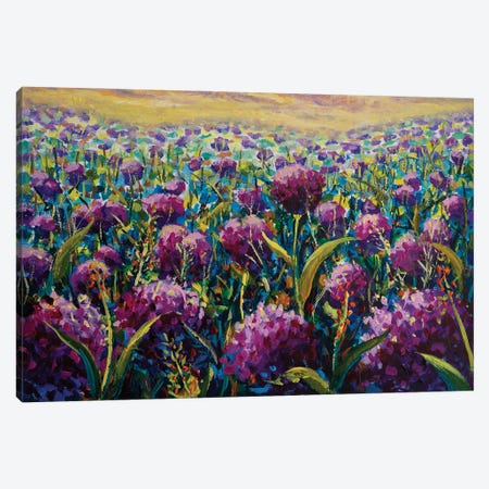 Pink Purple Flowers Wildflower In Blue Green Grass Close-Up Canvas Print #VRY1046} by Valery Rybakow Canvas Wall Art