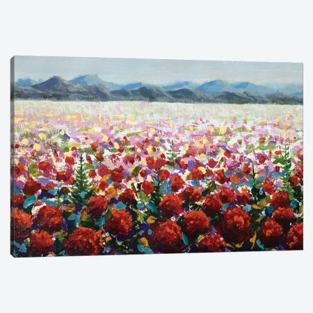 Alpine Meadows Filled With Red Wildflower Poppies In The Mountains Canvas Print #VRY1053} by Valery Rybakow Canvas Wall Art