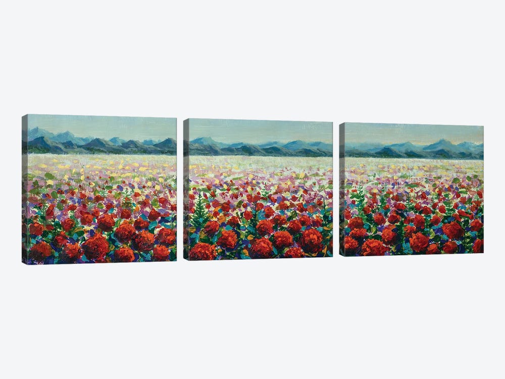 Meadows Filled Red Wildflower Poppies In Mountains by Valery Rybakow 3-piece Canvas Wall Art