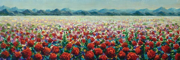 Valery Rybakow: Meadows Filled Red Wildflower Poppies In Mountains by Valery Rybakow