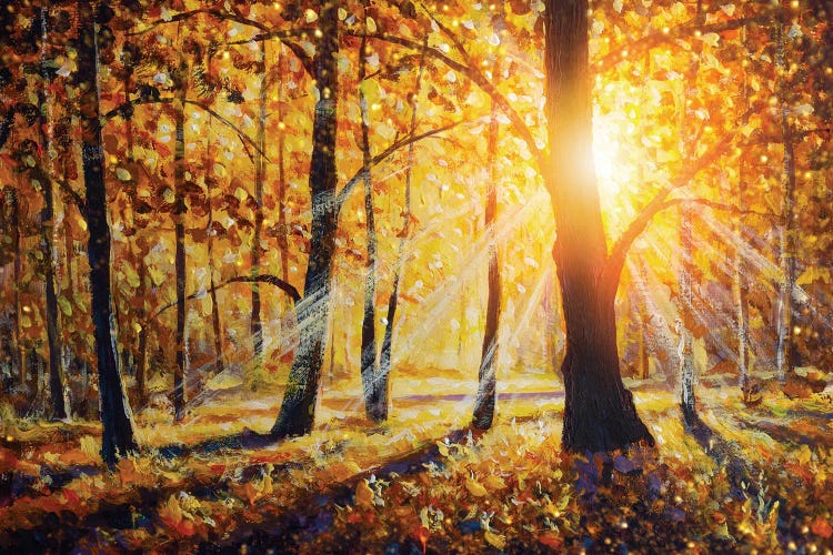 Autumn Forest Landscape With Sun Rays And Colorful Autumn Leaves At Tall Trees