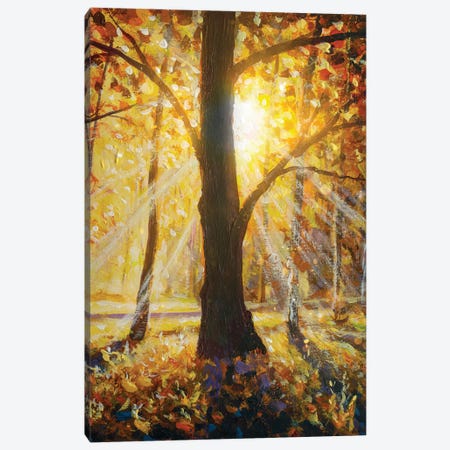Beautiful Sunset Landscape. Autumn Forest And Sun Rays Canvas Print #VRY1082} by Valery Rybakow Canvas Art Print