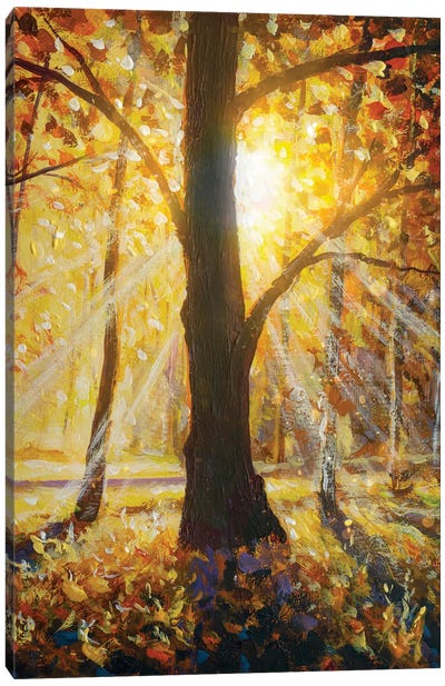 Beautiful Sunset Landscape. Autumn Forest And Sun Rays Canvas Art Print - Valery Rybakow