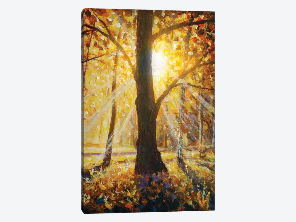 Beautiful Sunset Landscape. Autumn Forest And Sun Rays by Valery Rybakow 1-piece Canvas Artwork