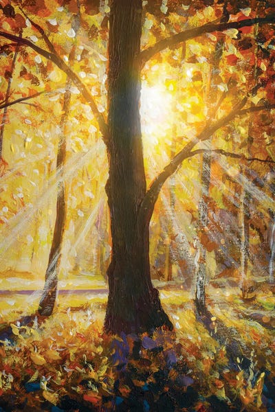 Valery Rybakow: Beautiful Sunset Landscape. Autumn Forest And Sun Rays by Valery Rybakow