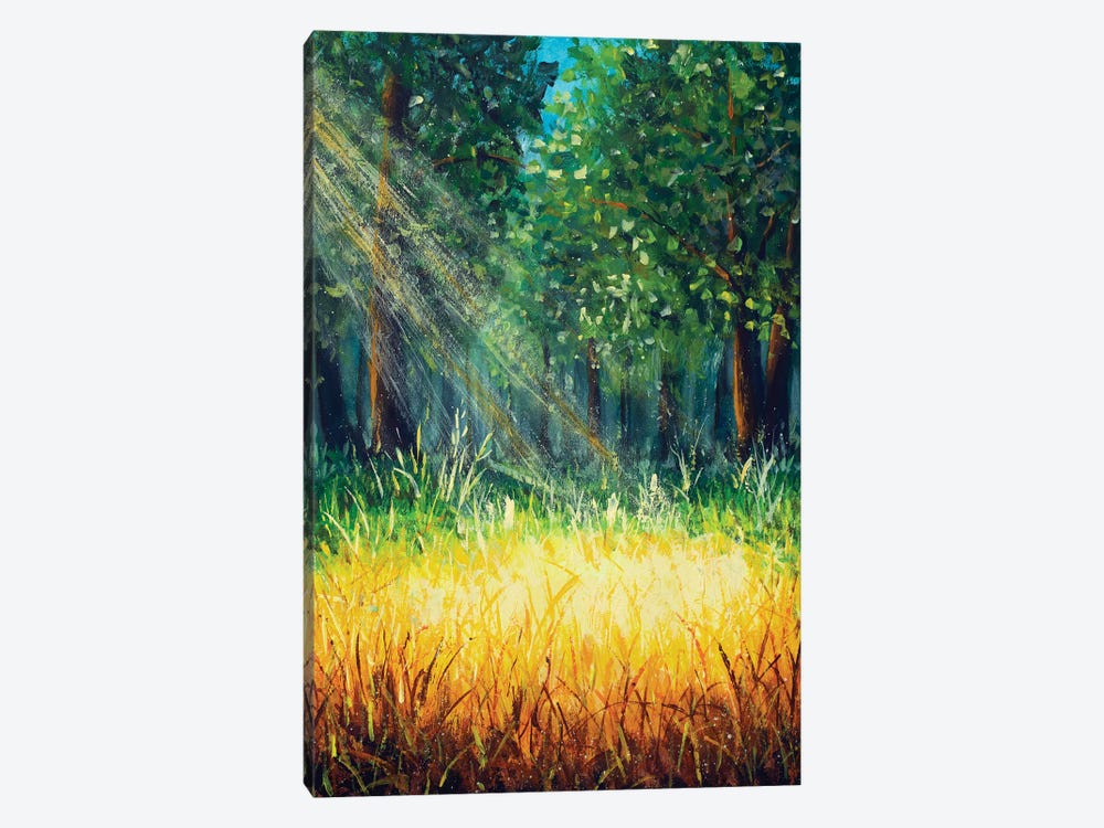Warm Rays Of Sun In Fairy Forest by Valery Rybakow 1-piece Canvas Art Print