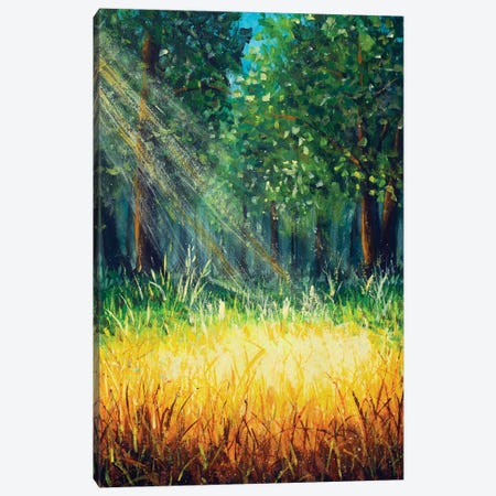 Warm Rays Of Sun In Fairy Forest Canvas Print #VRY1087} by Valery Rybakow Canvas Artwork