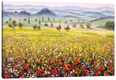 Tuscany Landscape Canvas Art Print - Mediterranean Décor
