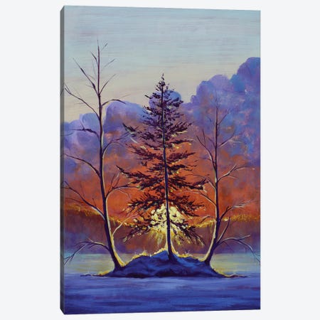 Sunrise On Frosty Trees Canvas Print #VRY1096} by Valery Rybakow Canvas Print