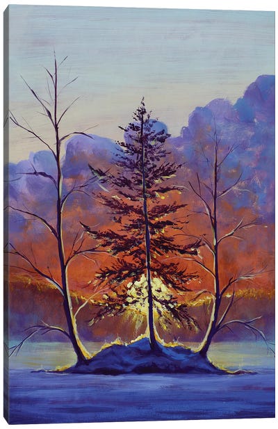 Sunrise On Frosty Trees Canvas Art Print - Valery Rybakow