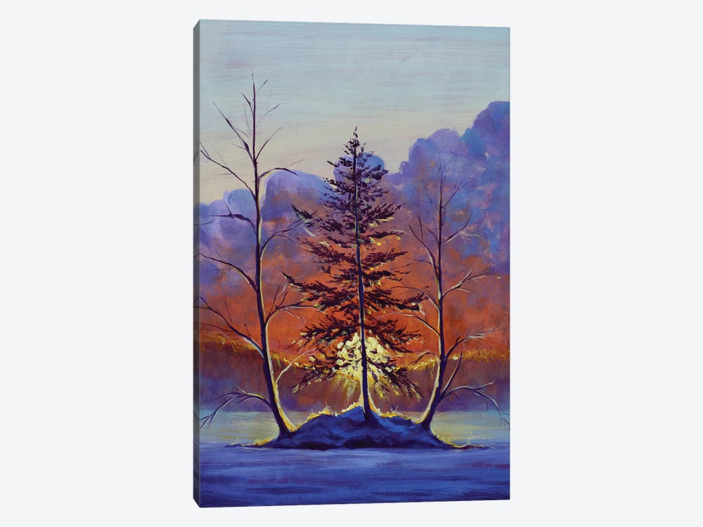 Sunrise On Frosty Trees by Valery Rybakow 1-piece Art Print