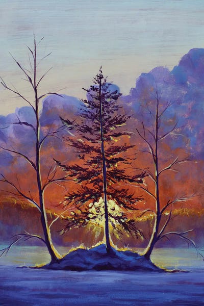 Rustic Winter: Sunrise On Frosty Trees by Valery Rybakow