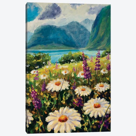 Daisies And Purple Pink Flowers Sunny Landscape Canvas Print #VRY1108} by Valery Rybakow Canvas Wall Art
