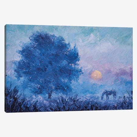 Fog With A Horse In The Country At Dawn Canvas Print #VRY1117} by Valery Rybakow Canvas Art