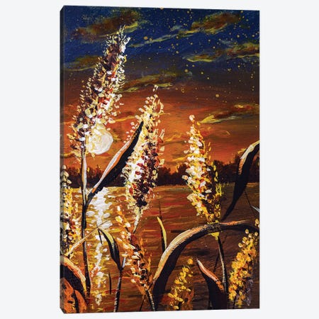 Beautiful Brown Sunset Evening On The River With River Grasses Close-Up Canvas Print #VRY1127} by Valery Rybakow Art Print