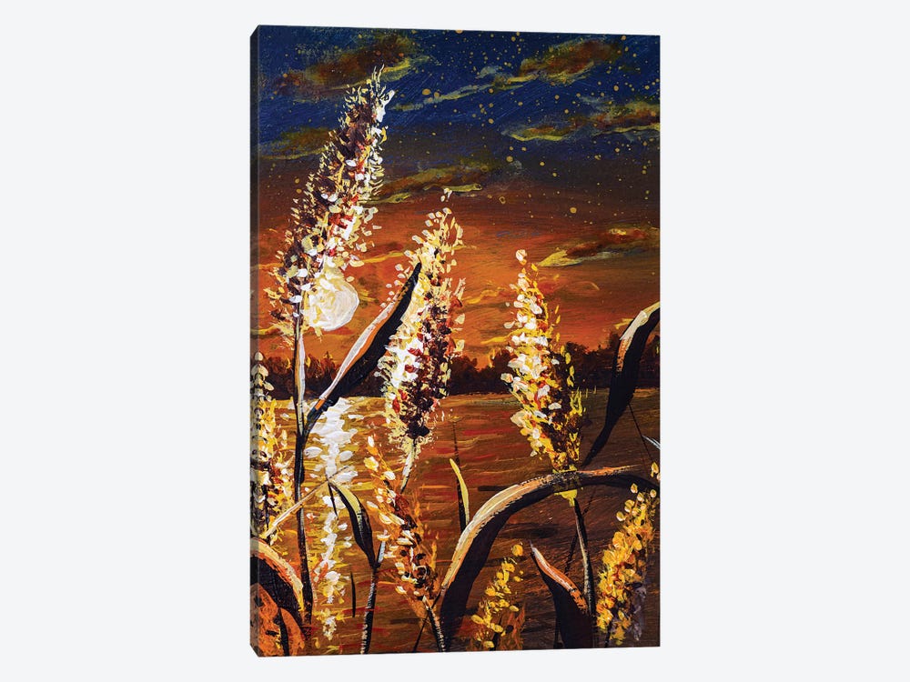 Beautiful Brown Sunset Evening On The River With River Grasses Close-Up by Valery Rybakow 1-piece Canvas Wall Art