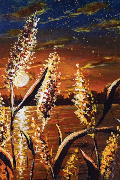 Valery Rybakow: Beautiful Brown Sunset Evening On The River With River Grasses Close-Up by Valery Rybakow