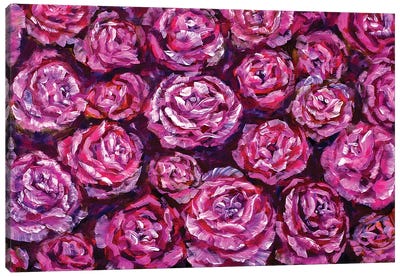 Violet Rose Flowers Canvas Art Print - Black & Pink