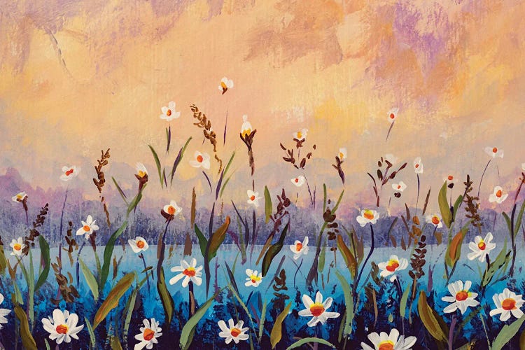 Floral Field Of White Daisies On A Blue Pink Wild Flowers Background