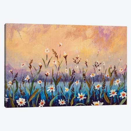 Floral Field Of White Daisies On A Blue Pink Wild Flowers Background Canvas Print #VRY1132} by Valery Rybakow Art Print